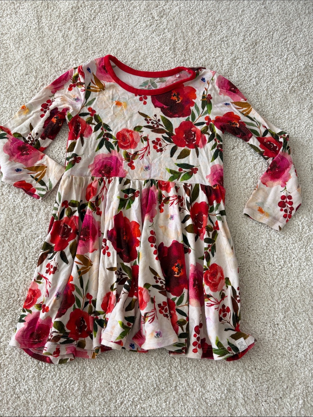 Little Snuggles Girls Floral Long Sleeve Twirl Dress